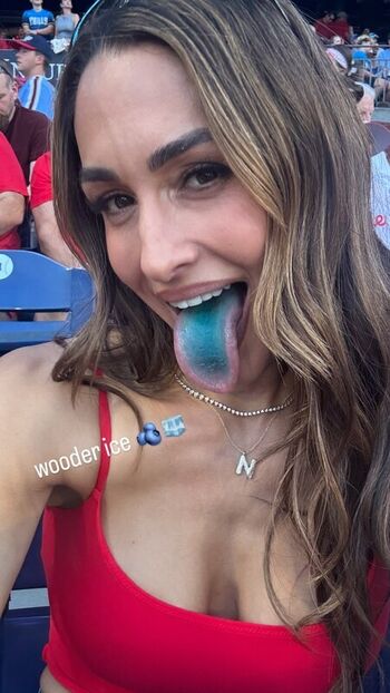 The Bella Twins