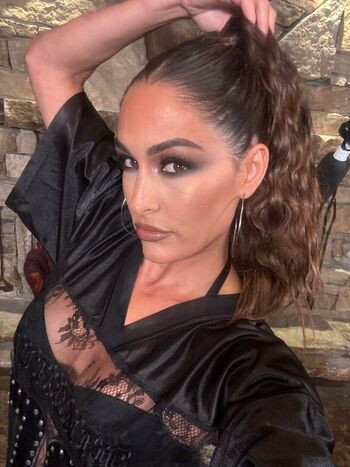 The Bella Twins