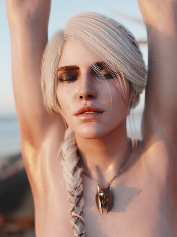 The Witcher