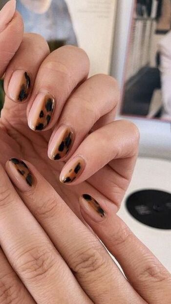 Full leaked Tortoise t private onlyfans photo