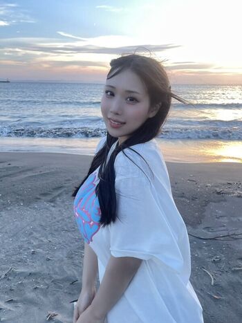 Towa Rabbit