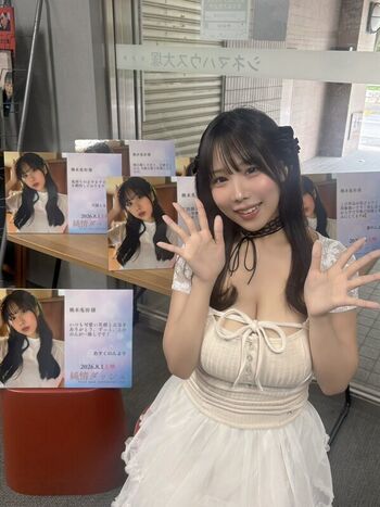 Towa Rabbit
