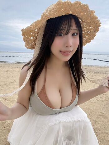 Towa Rabbit
