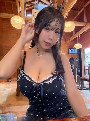 Towa Rabbit