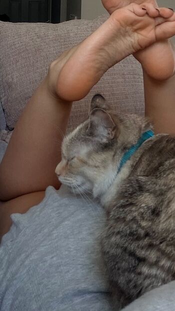 Full leaked Tray fitfever tray soe private onlyfans photo