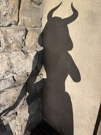 Full leaked Vngl  page private onlyfans photo