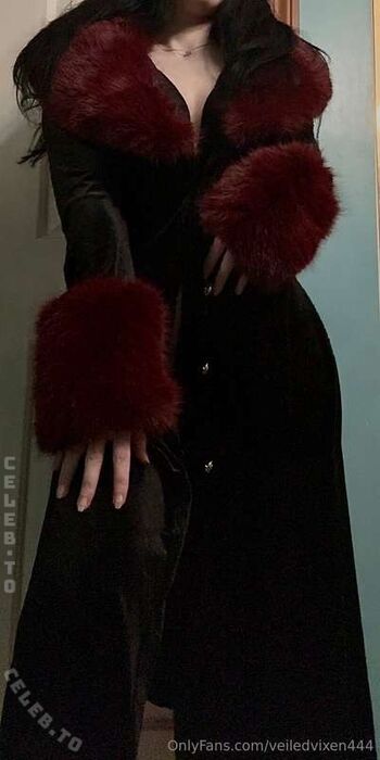 veiledvixen444