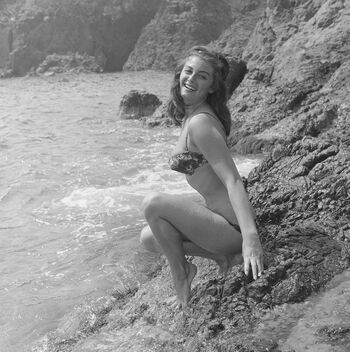 Vintage English Pinups