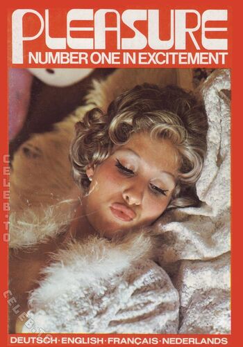 Vintage Erwachsenen Zeitschriften