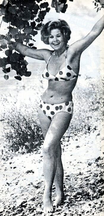 Full leaked Vintage starlets private onlyfans photo