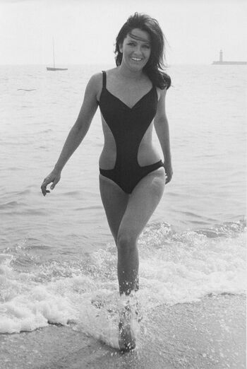 Vintage Starlets