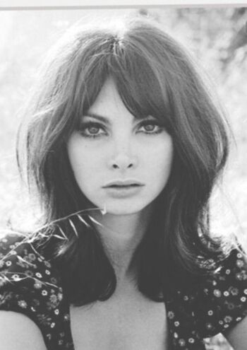 Full leaked Vintage starlets page private onlyfans photo
