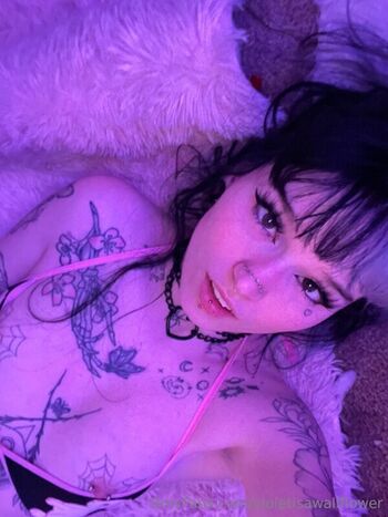 Full leaked Violetisawallflower page private onlyfans photo