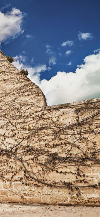 Full leaked Vittoria ceretti private onlyfans photo