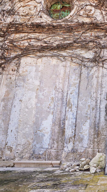 Full leaked Vittoria ceretti private onlyfans photo