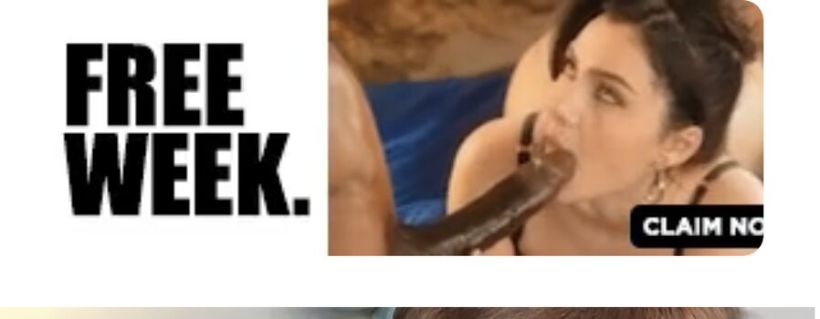 Vixen Network