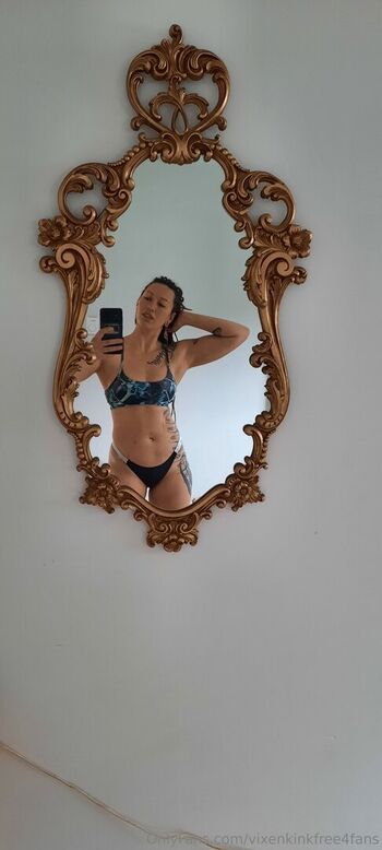 Full leaked Vixenkinkfreefans page private onlyfans photo