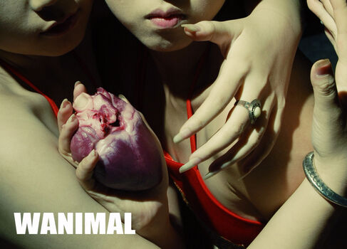 Wanimal Models
