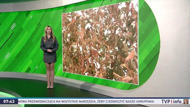 Full leaked Weather ladies private onlyfans photo