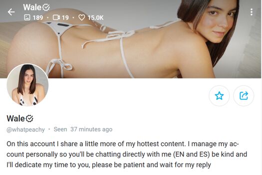 Full leaked Whoiswale disscusion private onlyfans photo