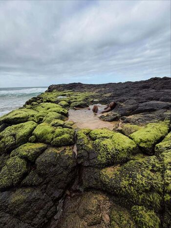 Full leaked Willow smith private onlyfans photo