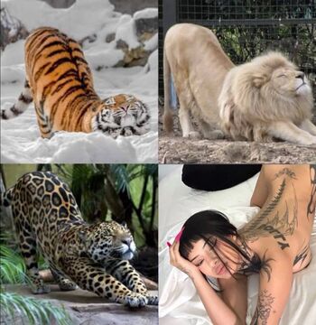 Full leaked Xoxobabeval private onlyfans photo