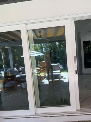 Full leaked Xzara stewartx private onlyfans photo