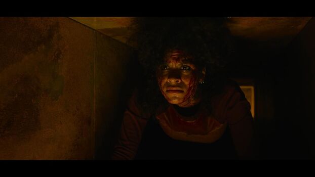 Full leaked Zazie beetz page private onlyfans photo