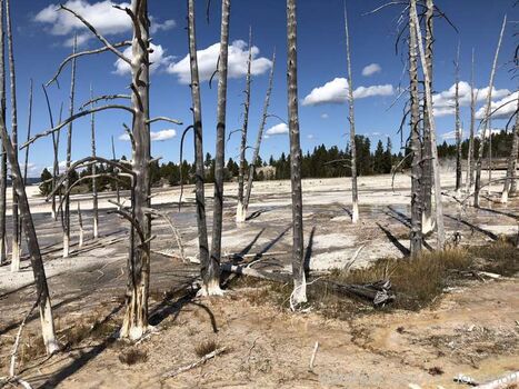 Full leaked Zendenjen page private onlyfans photo