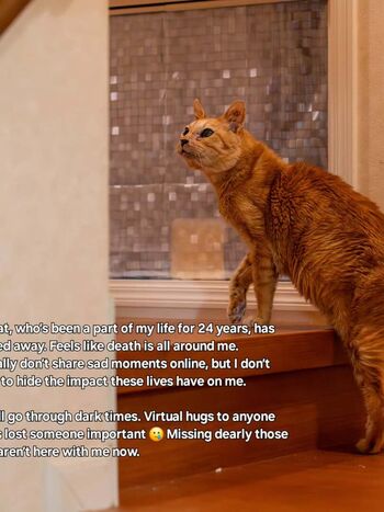 Full leaked A annss private onlyfans photo